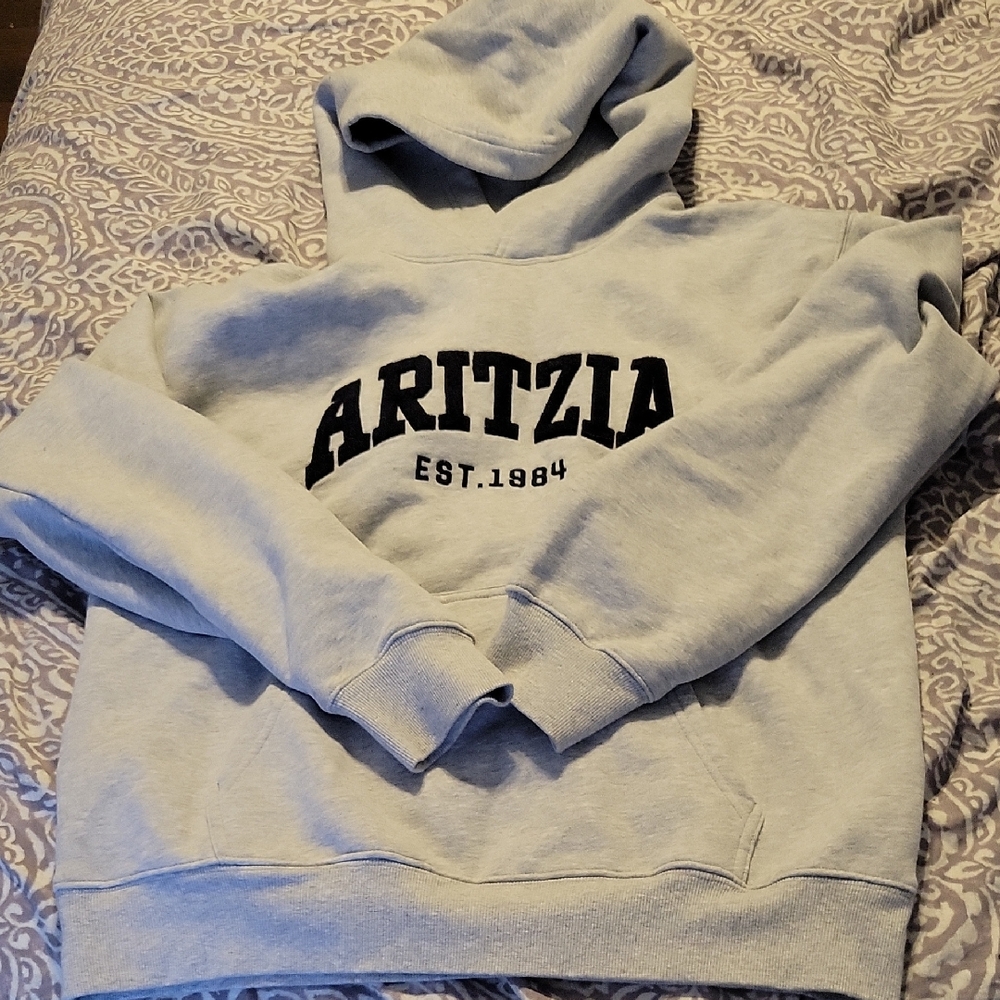 Aritzia Perfect Hoodie L
